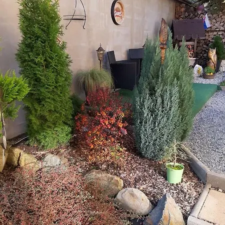 Dino